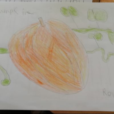 Rowan 3